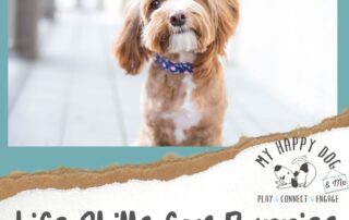 Puppy - Life SKills
