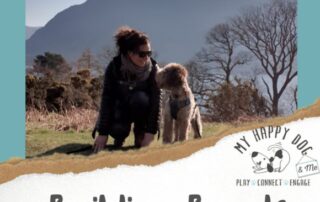 Adventures with your Dog, My Happy Dog