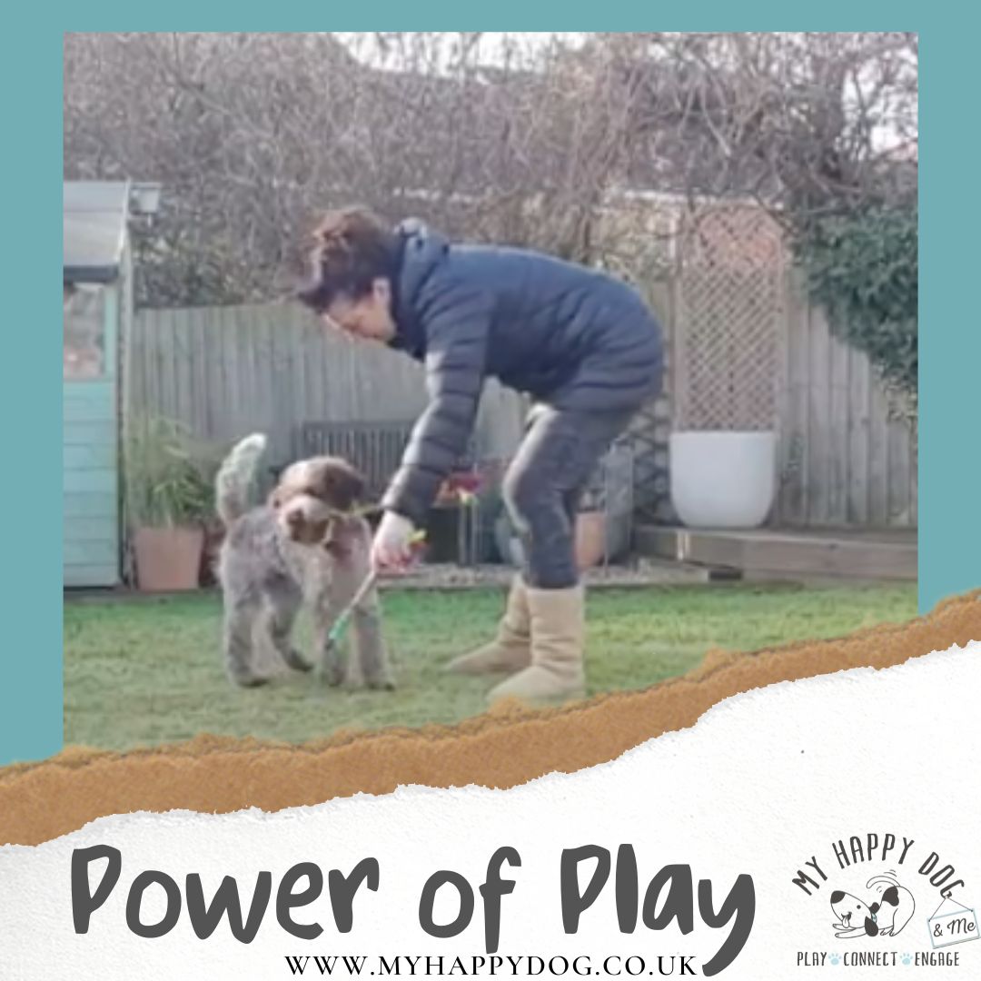 puppy play is a skill not to be missed