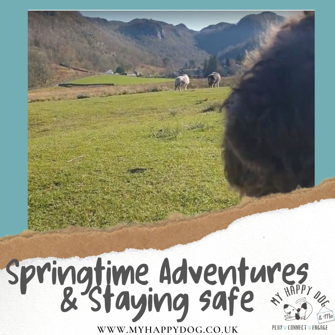 Stay Safe on your Adventures