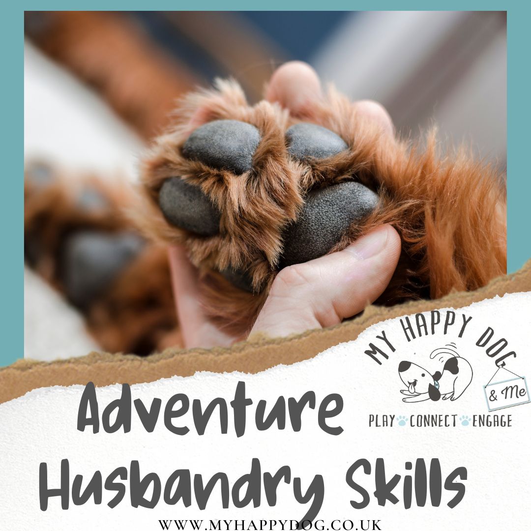 My Happy Dog & Me husbandry skills