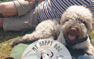 How to Picnic with your Pup