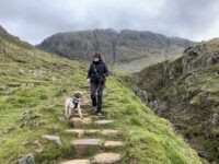 Adventures with My Dog - Beyond the basics
