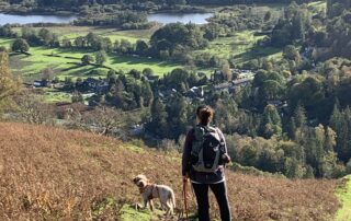 My Happy Dog & Me - Creating Calmer dogs to enjoy adventures with.