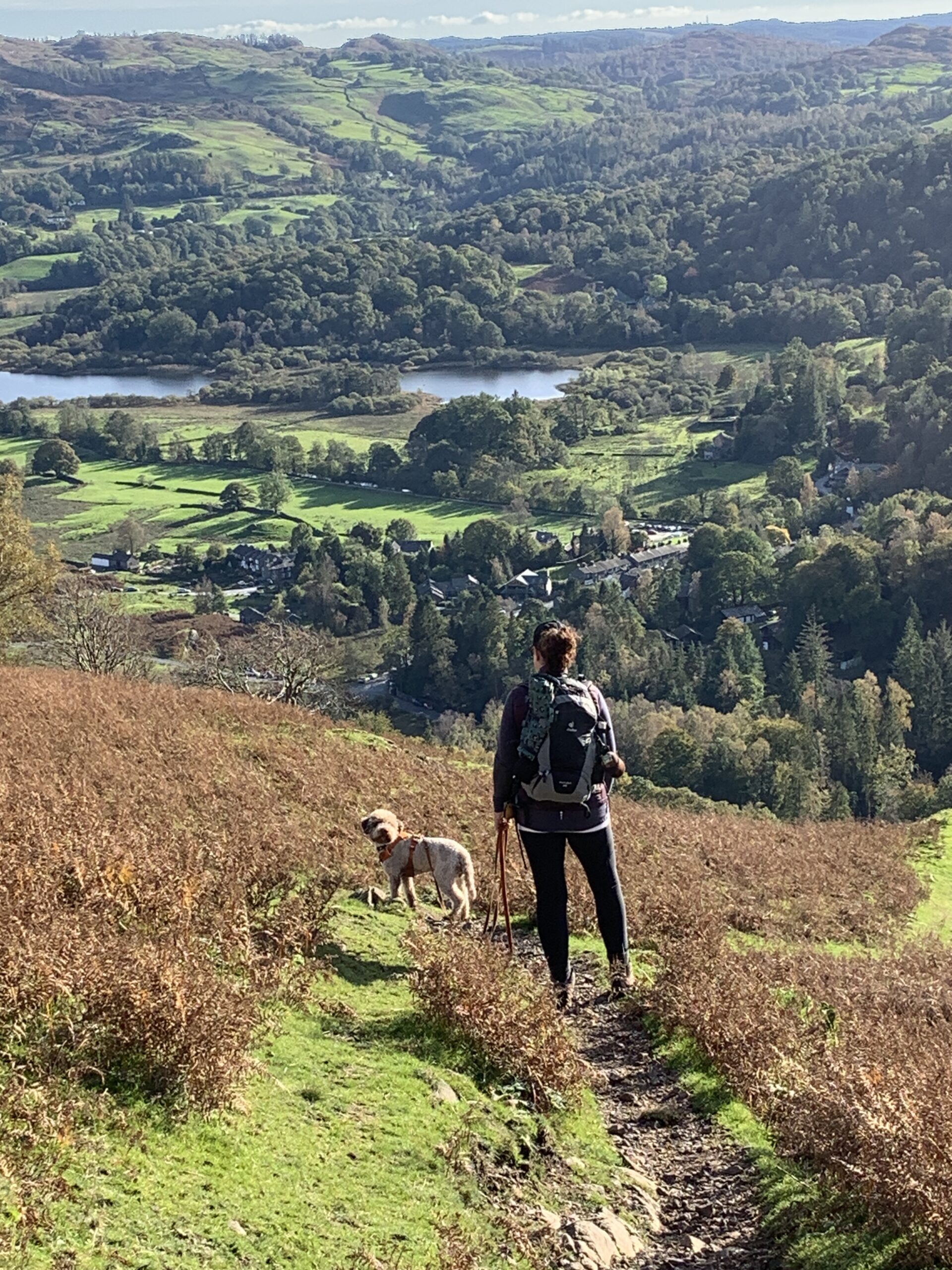 Calm Adventures with your Dog Hiking With Your Dog