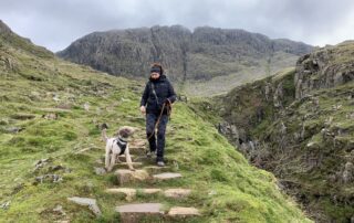 Tips for Hiking With Your Dog