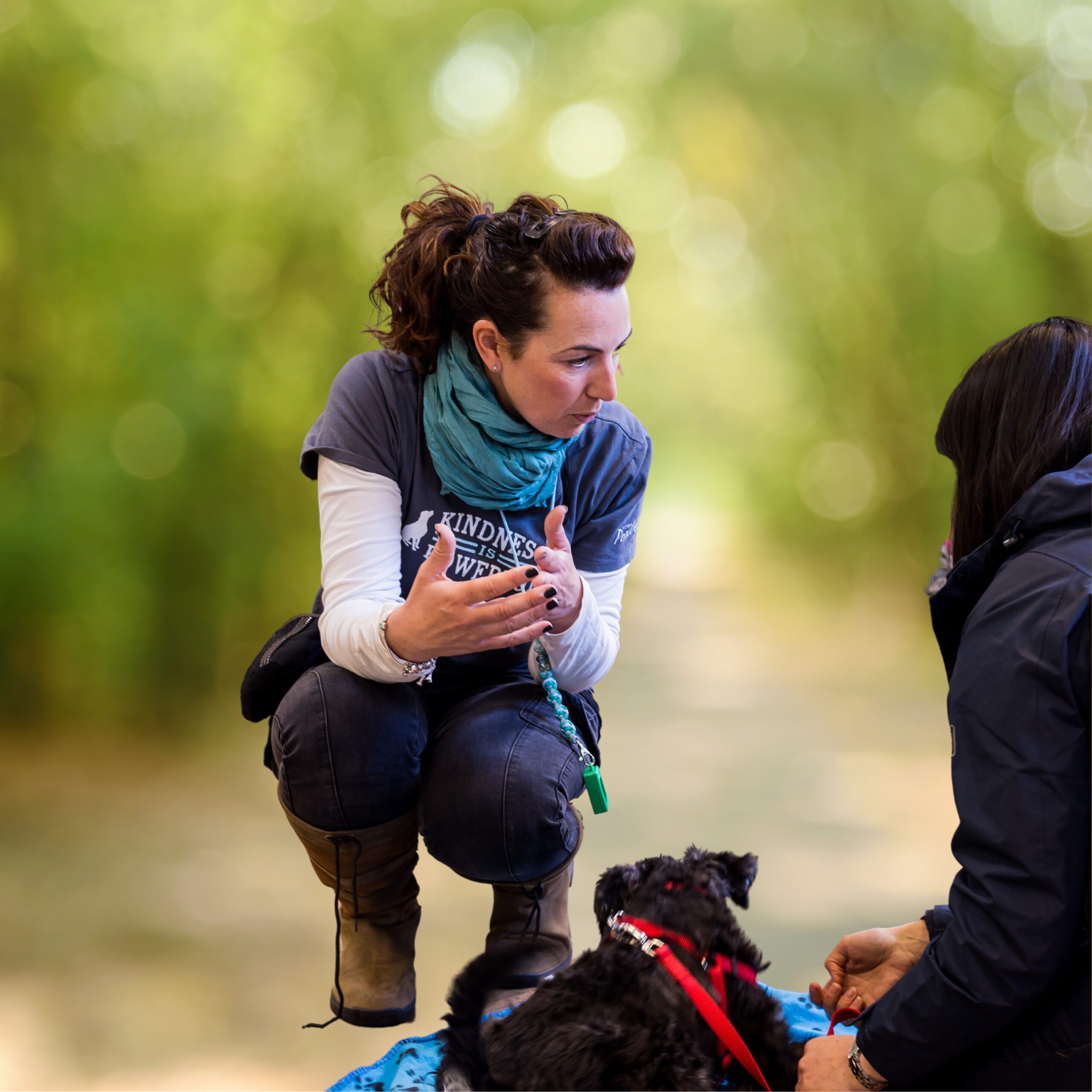 Private Coaching Private Coaching with My Happy Dog, solihull, birmingham and warwickshiare