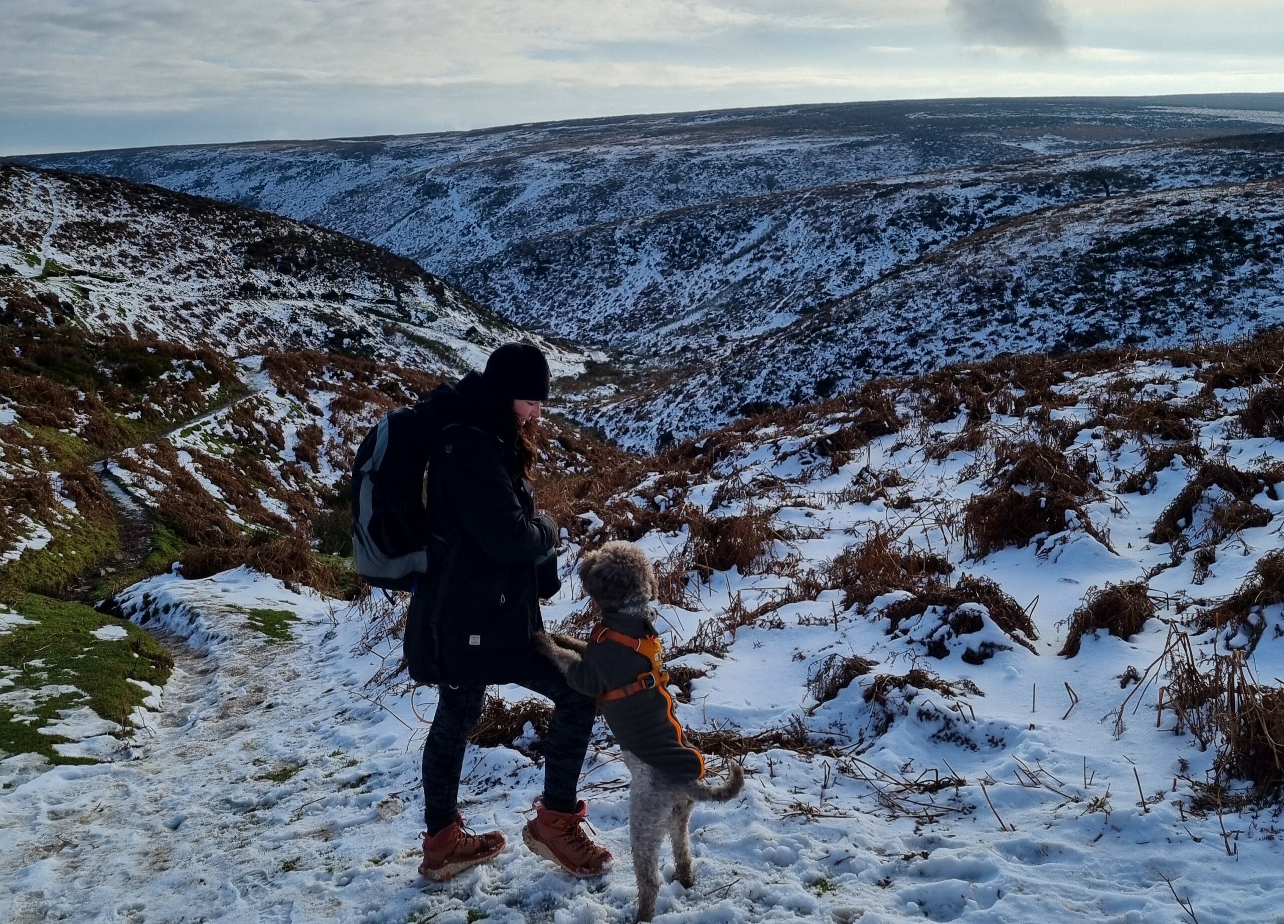 Calm Connection for Calm Adventures - My Happy Dog & Me