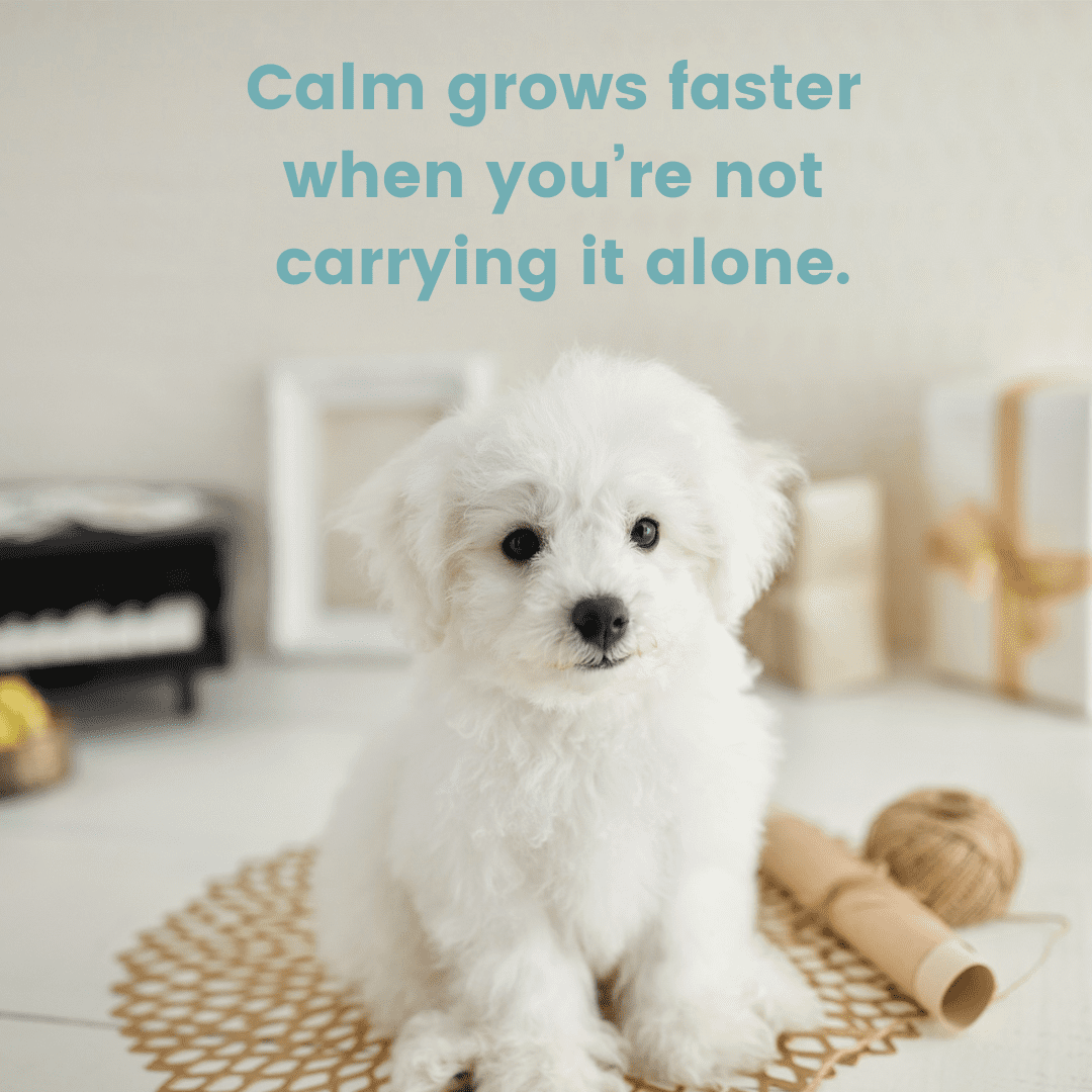 Website – Calm Rhythm Method Quote