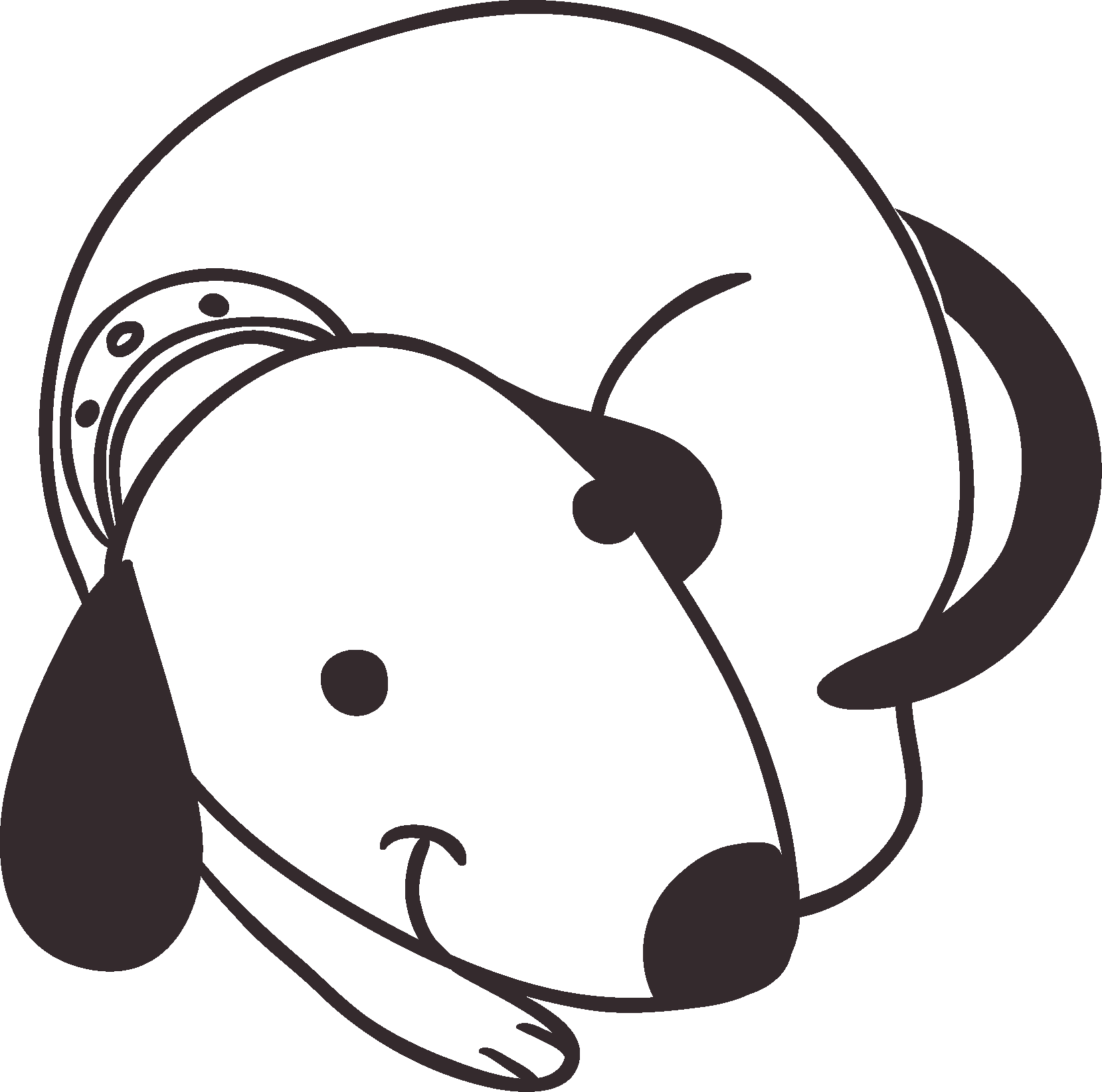 Calmness dog training Solihull dog training - calm dogs
