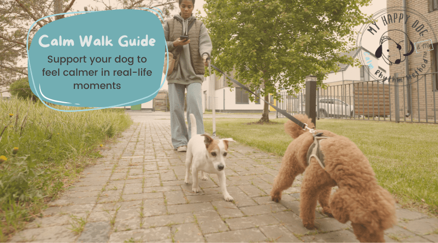 Calm Walk Guide – Free Guide Free Calm Walk Guide - Calmer walks for you and your dog