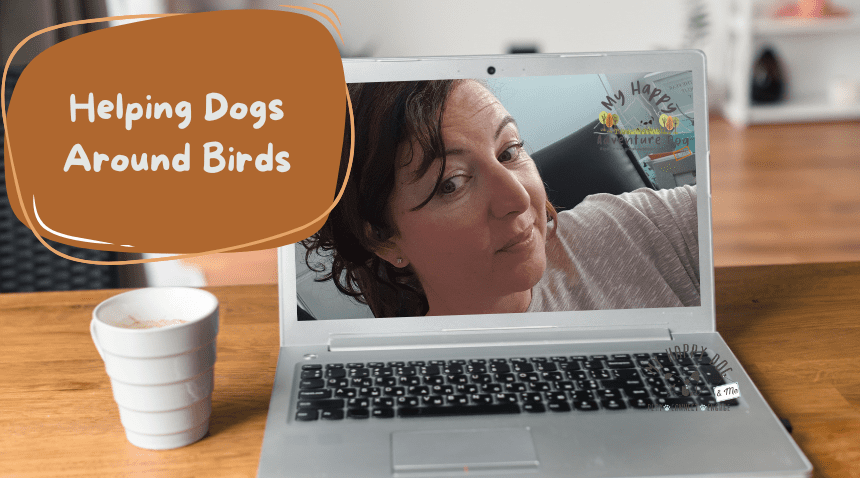 Adventure Guide - Helping Dogs Around Birdsy