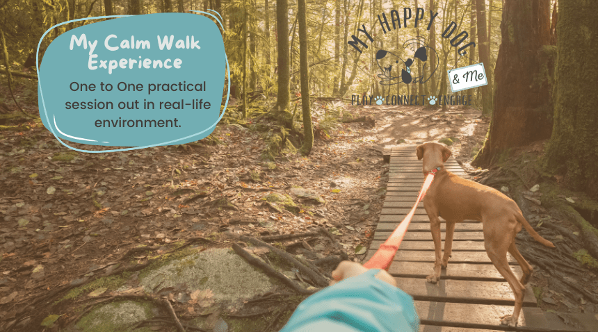 My Happy Dog & Me - Practical Sessions In Person, One to One Solihull, Birmingham, Warwickshire. Recall, Loose Lead Walking, reactive